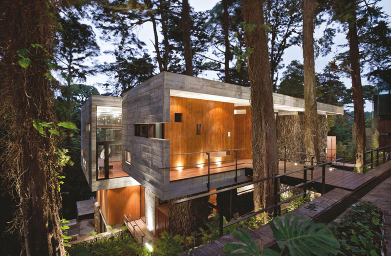 Illustration for article titled 8 Buildings Designed to Incorporate the Trees Around Them